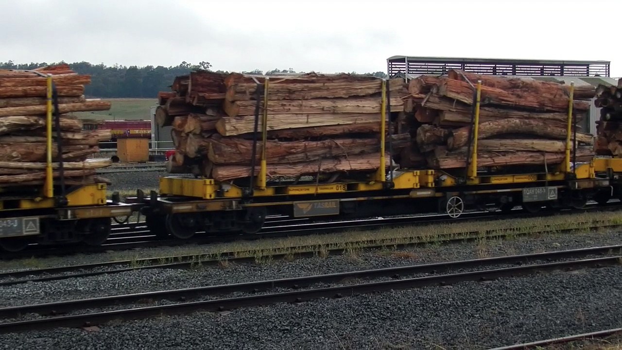 TR17 TR09 #34 log empty coal train in East Tamar yard
