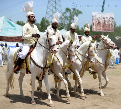 Hazrat Sultan Muhammad Ali Sahib (M H Sultania Awan Club of Hazrat Sakhi Sultan Bahoo