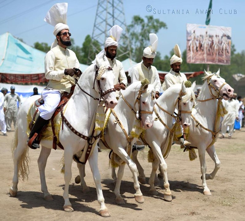 Hazrat Sultan Muhammad Ali Sahib (M H Sultania Awan Club of Hazrat Sakhi Sultan Bahoo