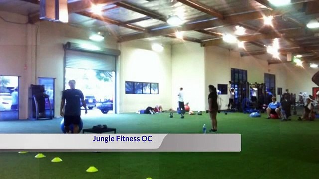 Physical Fitness Program Irvine - Jungle Fitness OC (949) 302-4939