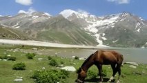 Sheshnag Lake -  Kashmir valley,Jammu and Kashmir