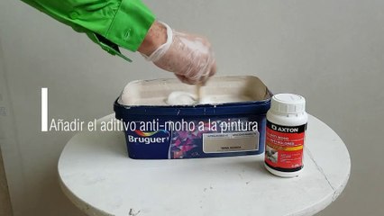 Guía fácil para eliminar el moho en casa con productos Leroy Merlin 🧽