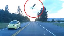 WHITETAIL DEER TAKES FLIGHT OF VW BUG [VIDEO]