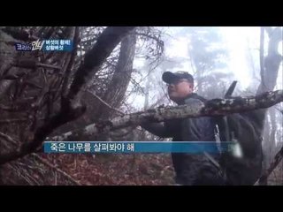 귀물 상황버섯을 찾아 떠난 헌터들 그 험난한 여정 [코리아헌터48회]