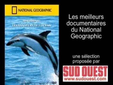 DVD National Geographic Sud Ouest - Dauphins