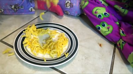 Bad Baby Real Food Fight Victoria vs Annabelle McDonald's Hidden Eggs Toy Freaks Family