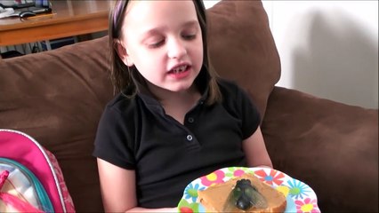 Giant Flies Invade House Spatula Girl Attacks 'Toy Freaks