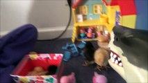 Pet Shark Attacks Baby Chicks Annabelle & Victoria Save The Day Toy Freaks Poop
