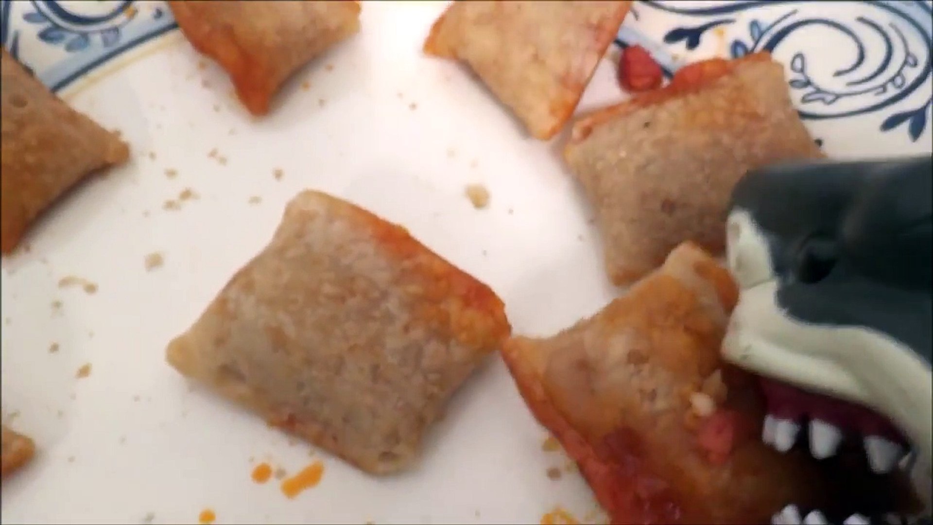 ⁣Pet Shark Feeds Pet Dog Pizza Rolls Toy Freaks Style _)