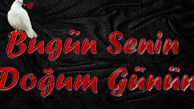 Şair Yazar Enver ÖZEL'in Bu Gün Senin Doğum Günün Şiiri