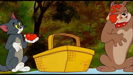 tom-and-jerry-91-episode-pup-on-a-picnic-1955