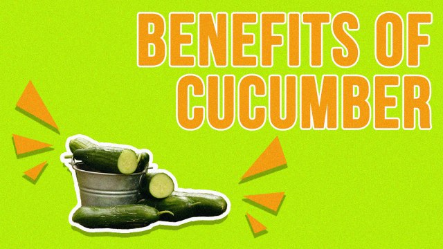 Health Benefits Of Cucumbers