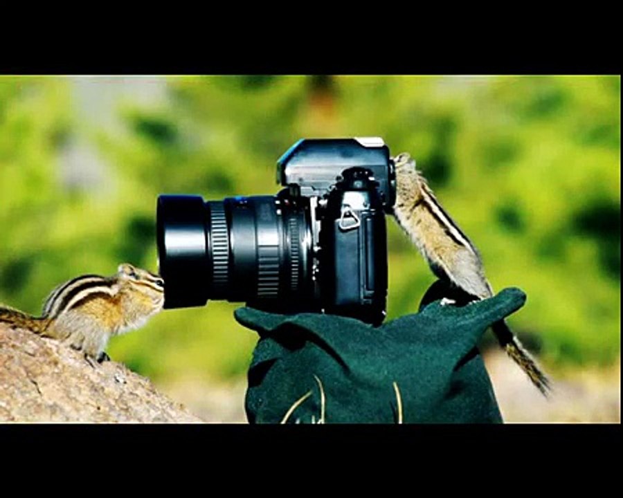 Enjoyable Funny Momments