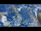Feeding Sharks Would You Go In For A Swim? - EsNews Boxing