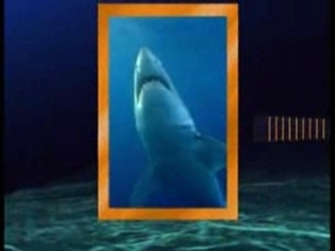 DVD National Geographic Sud Ouest - Requins