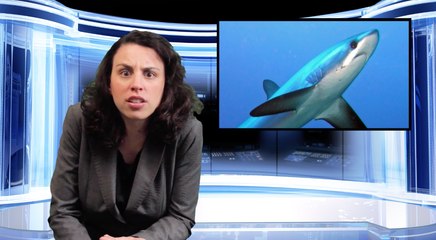 Bad News: Killer Whales Are Killer Surgeons