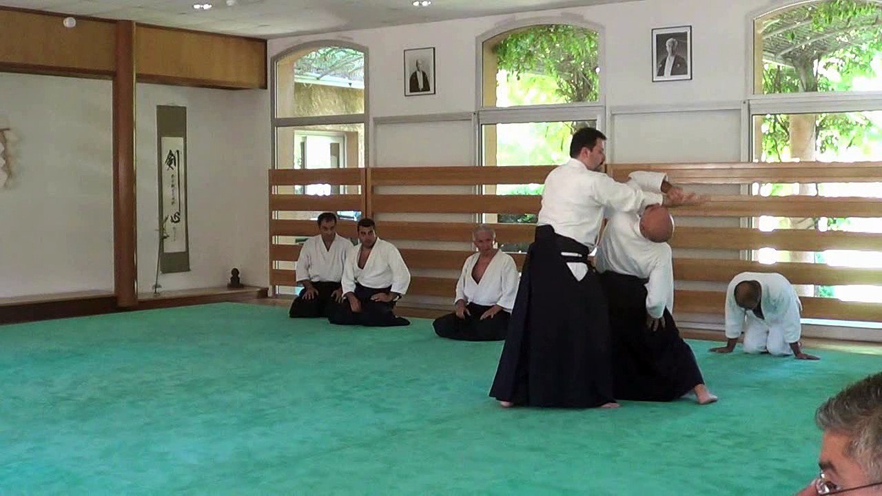 Mickaël Martin Aïkido -Bras france le 19-20-21 Mai 2017