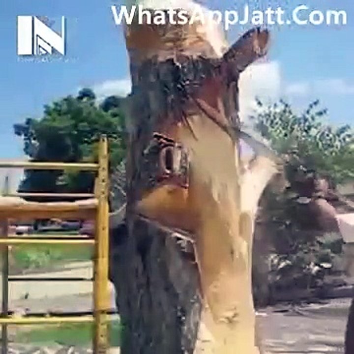 Real creature man.. Unbelievable statue