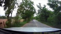 Motorcyclist Catches Snake Crossing Road