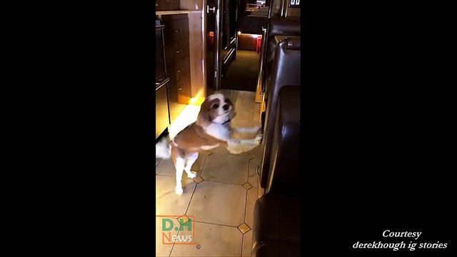 Move Beyond with Derek & Julianne Hough at Lincoln, NE – May 24, 2017