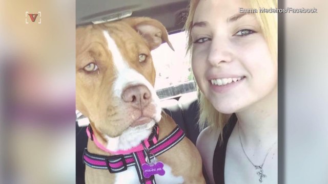 Dog Owner Discovers Razor Blades Inside Hot Dog Pieces in Her Yard