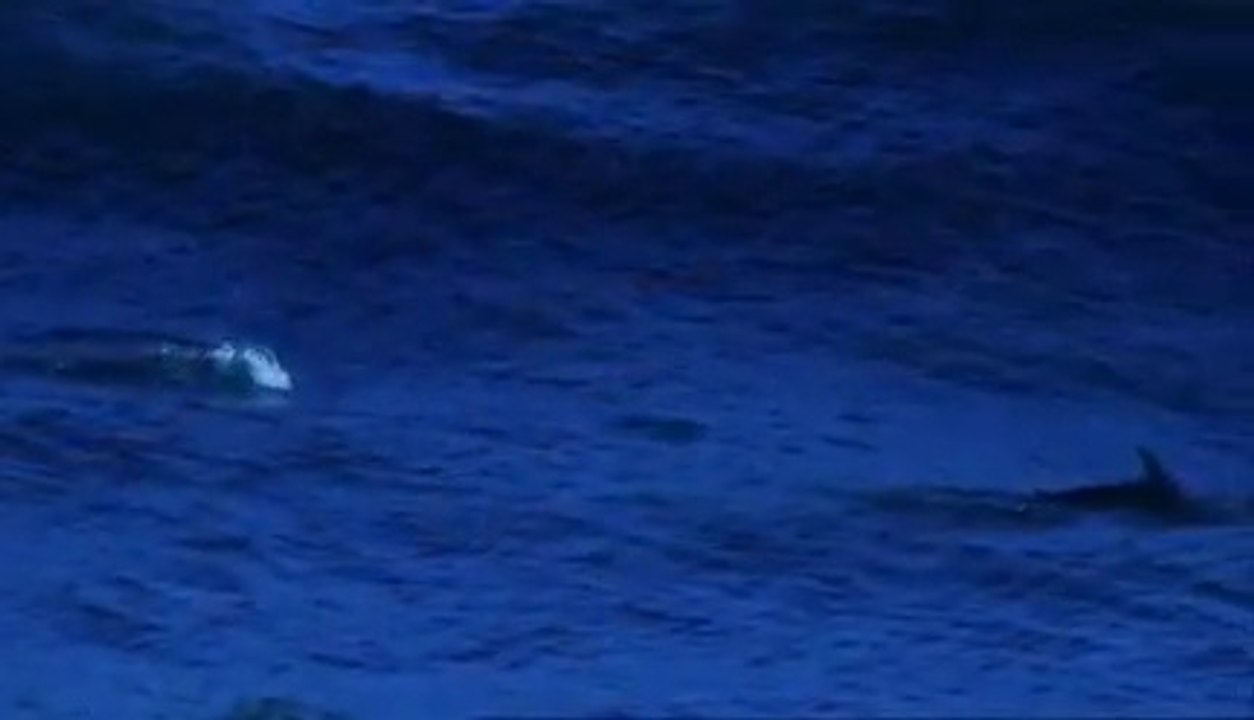 Titanic 2 (2010) en Streaming Vidéo - film streaming sur AlloStreaming.COM