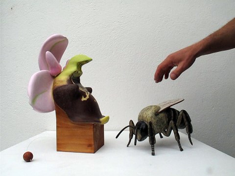 Sculpture d’orchidée Ophrys fuciflora et d’une abeille sauvage, montrant le dépôt des pollinies de la fleur sur sa tête