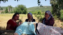 Mel-Un - Türk Filmi