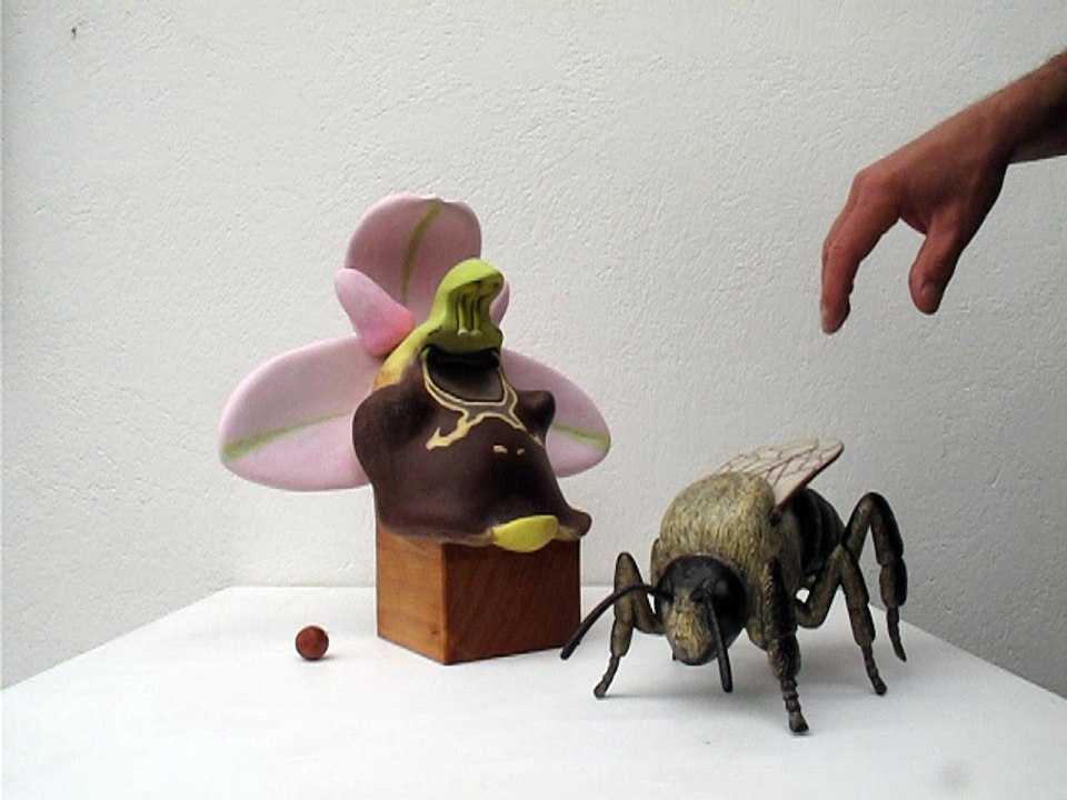 2-Sculpture d’orchidée Ophrys fuciflora et d’une abeille sauvage, montrant le dépôt de pollinies de la fleur sur sa tête