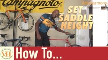 How to Set your Saddle Height - Tips for getting it Right and why it's important