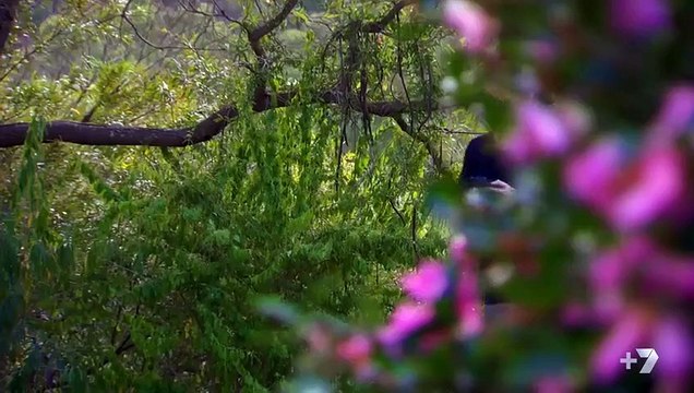 Home and Away 6520 6th October 2016 HD 720p ✔