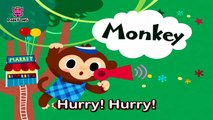 M _ Monkey _ ABC Alphabet Songs _ Phonics _ PINKFONG Songs for Children-ZqqoFTMmJt