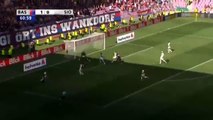FC Basel 2:0 FC Sion (Swiss Cup 25.May 2017)