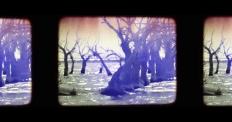 WHAT THE WATERS LEFT BEHIND