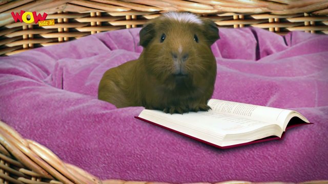 Jack And Jill Frost _ Ali Bunny - Fuzzy Tales - Bedtime Stories _ Animated Series