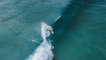 Really Really Really Good Surfers - Matt Wilkinson