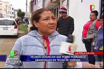 La Perla: vecinos denuncian maltrato a perro en techo de vivienda