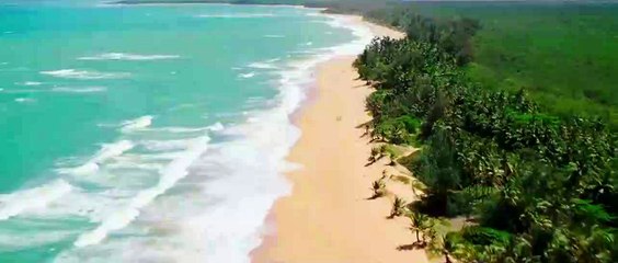 xXx - Tge Official 'Nicky Jam' Trailer (2017) - Vin Diesel Movi