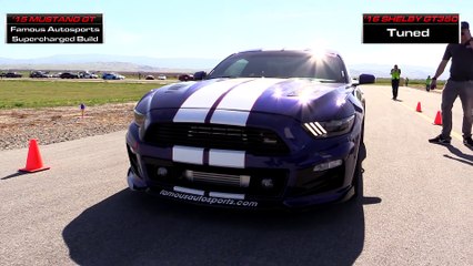 Shelby GT350 vs Supercharged Mustang GT 5.0