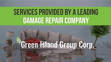 Services provided by a Leading Damage Repair Company