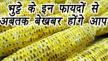 Corn,मक्के/भूट्टे के फायदे | Health Benefits | भूट्टे के इन फायदों से बेखबर होंगे आप | Boldsky