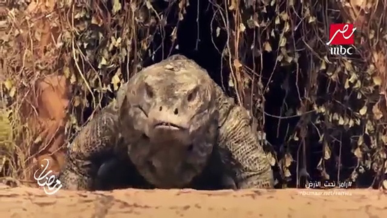 شاهد الحلقة الثامنة من رامز تحت الارض رمضان صبحي يفقد أعصابه مجلة هي