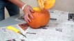 How to make a jack o lantern with Marty Moose-GldxuTsExZM