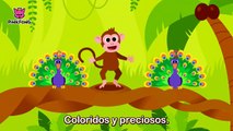 Animales, Animales _ Animales _ PINKFONG Canciones Infantiles-d9FQq3punJs