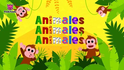 Animales, Animales _ Animales _ PINKFONG