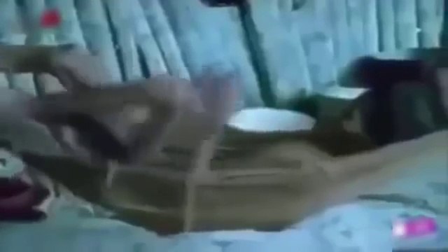 Meeting tribal in africa tribes life african culture and rituals tour to africa ethiopia 9