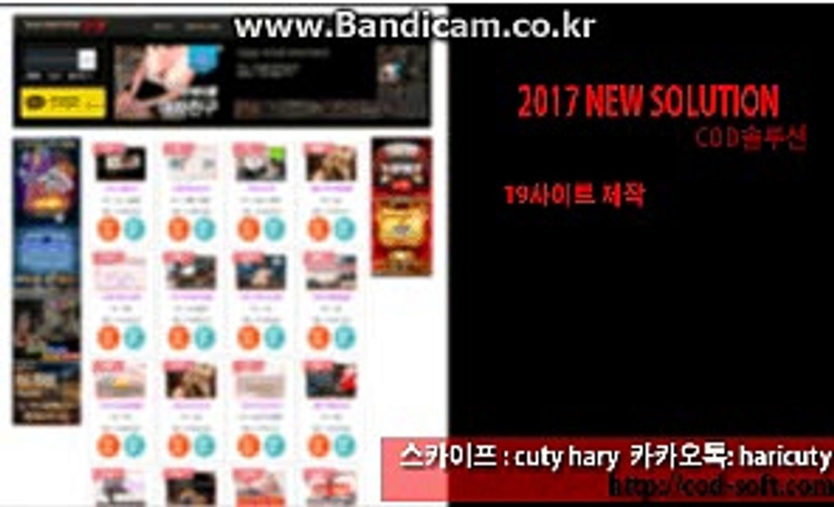 스포츠 토토 솔루션
