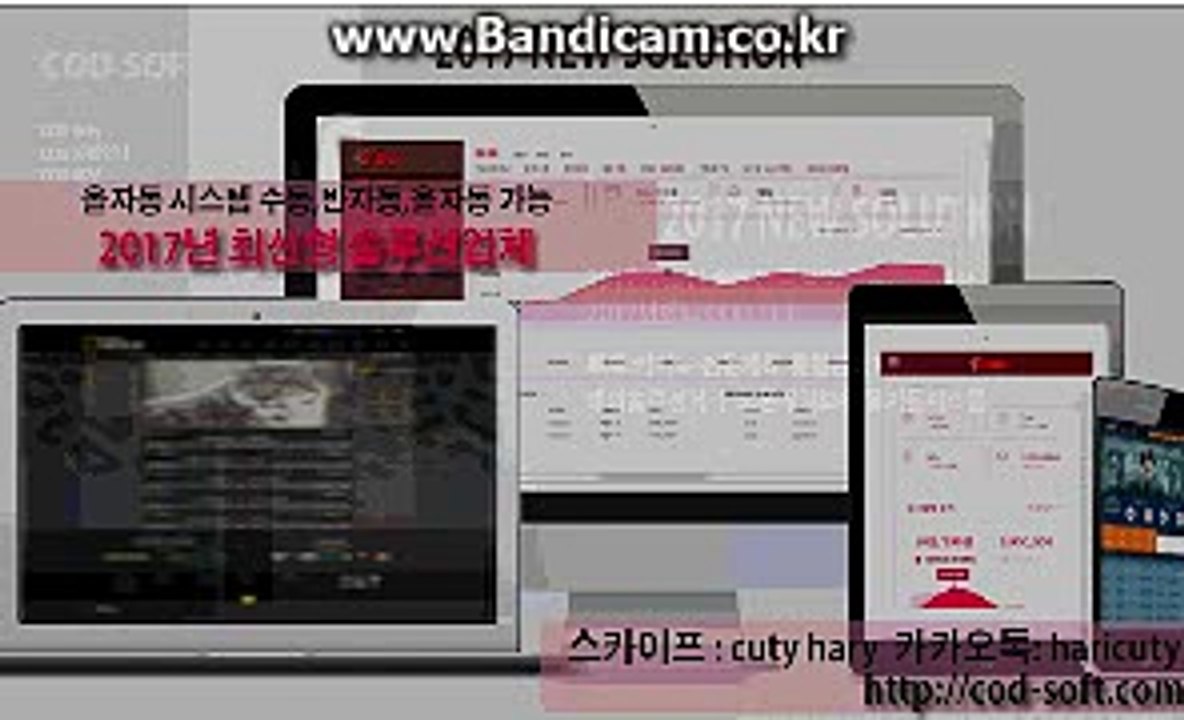 #전문적인스포츠토토솔루션판매 COD-SOFT 솔루션 (해외서버호스팅,D-Dos방어)