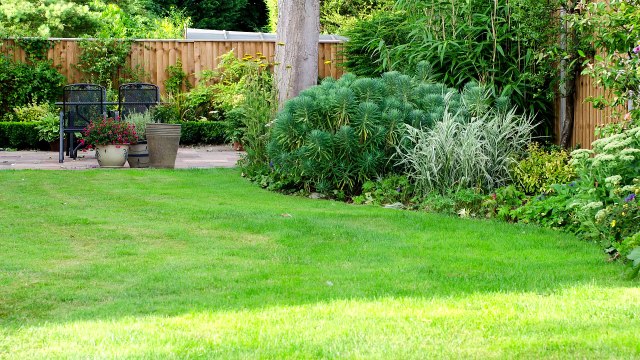 Carolina Turf and Mosquito Provides Quality Turf Maintenance & Mosquito Control Services