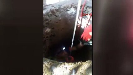 Su Kuyusuna Düşen Kediyi Afad Kurtardı